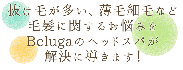 抜け毛が多い、薄毛細毛など毛髪に関するお悩みをBelugaのヘッドスパが解決に導きます！